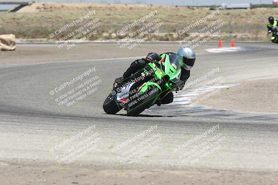 media/Aug-03-2024-TrackDaz (Sat) [[30bed884ff]]/C Group/1240pm (Grapevine)/